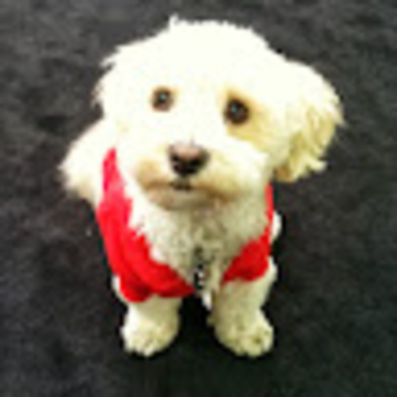 Meet your Posher, Laura - Picture 1 of 1